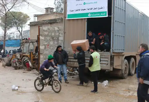 Sustainable Food Solutions